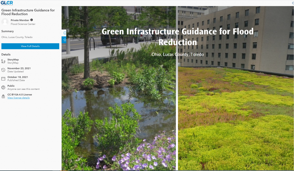 Title page for Green Infrastructure Guidance, with the title text and an image of a green area soaking up rainwater